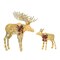 Champagne Cotton Rope Reindeer with LED Lights Holiday Decoration 42" H & 22" H